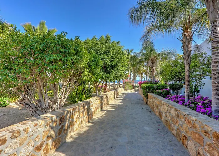 Cabo Pedregal Ocean View And 2 Infinity Pools Apartment *
